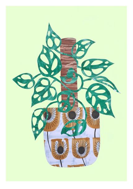 Illustration of a Swiss Cheese Plant with large, green leaves against a light green background. The pot features a decorative pattern of stylized sunflowers in brown and white. The plant's leaves have cut-out designs, giving them a unique, artistic appearance. Part of the Little Art series with mini prints available from brand A5.