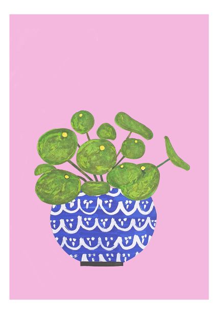 A colorful illustration of a Chinese Money Plant Collage A5, featuring round green leaves with small yellow dots, growing in a decorative blue and white patterned pot. Part of the Little Art series, the solid pink backdrop highlights the vibrant design of the plant and pot, perfect for Mini Prints or Deluxe Postcard Frames.