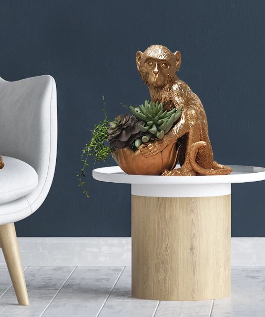 A stylish room featuring a white and light wood circular table with a Blue Dog Posters bronze Monkey Bowl Gold holding a resin bowl of succulents. To the left is a light grey armchair with wooden legs, all set against a dark blue wall and a light wooden floor.