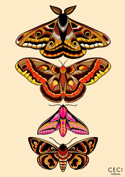 A vertical illustration showcasing four vibrant moths on a beige backdrop. The intricate wing designs display a rich array of colors, including brown, orange, yellow, pink, and black. The bottom right corner features the text "Moths by Ceci Tattoos. Part of our Featured Artists Collection," by Blue Dog Posters.
