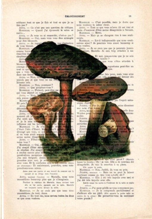 The Blue Dog Posters' "Antique Book prnt 29x19cm Mushrooms1" features an illustration of mushrooms overlaid on a page of vintage text, allowing the text to be visible through the image. The mushrooms, in various sizes and shades of brown, provide a natural, botanical contrast against the white and black printed background.