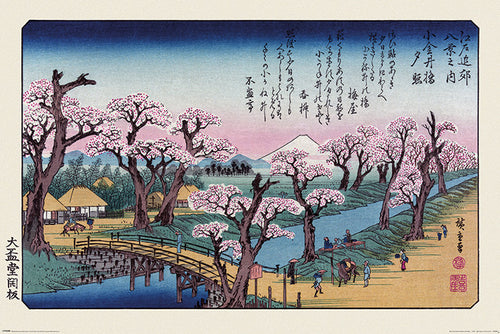 A traditional Japanese ukiyo-e print, **Evening Glow at Koganei - Hiroshige** by **MEZ 016**, ideal for an Art & Decor Poster, depicts a serene landscape with cherry blossom trees in full bloom. A bridge crosses a river, leading to a village with thatched roof houses. Mount Fuji is visible in the background. Various people are enjoying the scenery.