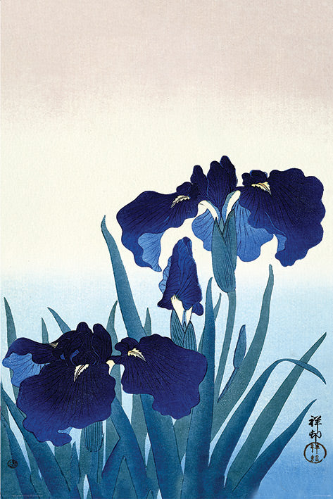 A captivating Ohara Koson (Iris Flowers) by MEZ showcases delicate blue irises with rich, dark petals and long, slender green leaves. The background is a gentle gradient from light beige to blue, enhancing the serene and elegant appearance of the flowers. Japanese characters are visible at the bottom right on premium 150gsm gloss paper.