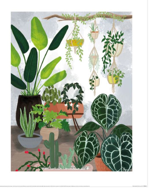 The Rosana Laiz Home Jungle art print by GAL216 illustrates a flora-themed room with large leafy plants, succulents, and vines in macramé holders. It features a textured light gray wall and wooden floor, part of the Decor Series Collection.