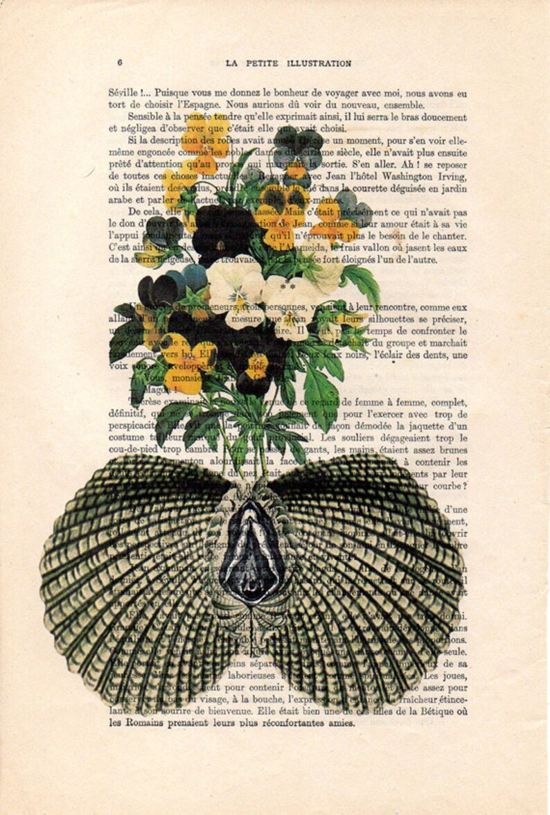 A vintage illustration of a flower bouquet with various colorful blooms decorates the image of a bird with a detailed fanned-out tail, set against the background of an old book page featuring French text. This artwork is available as the "Antique Book prnt 29x19cm Shell Ovary" by Blue Dog Posters.