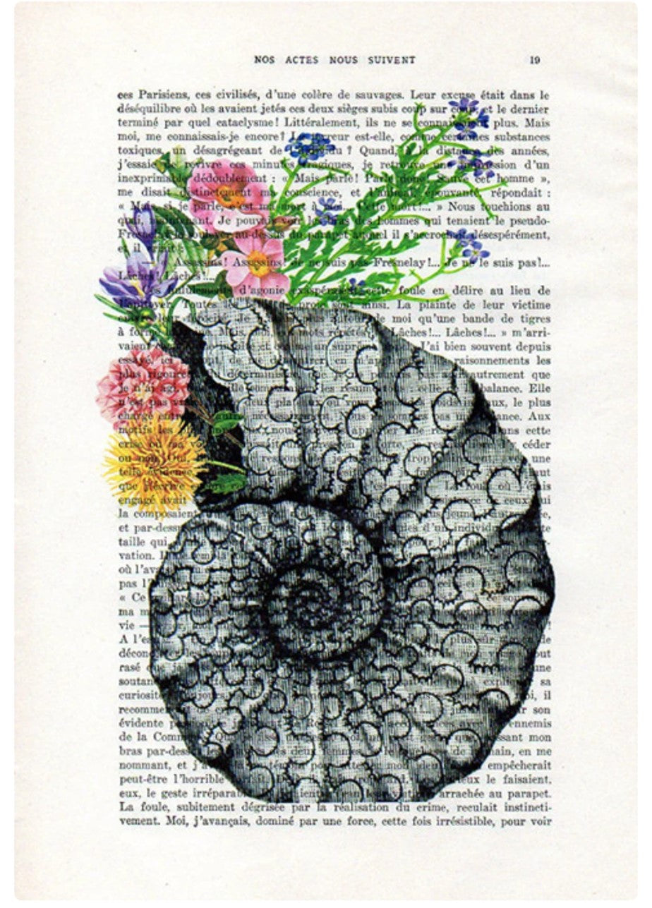 The Antique Book print 15x21cm Sea Shell Flowers by ABP showcases a detailed illustration of a spiral fossil shell overlaid on a page of French text. This unique artwork features the shell adorned with vibrant flowers in shades of pink, purple, yellow, and red. The text and flowers blend seamlessly, creating an exquisite piece of vintage French book art.