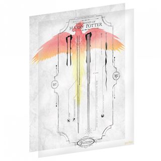 The Harry Potter Limited Edition Fan-Cel by Blue Dog Posters features detailed illustrations of various wands from the Harry Potter series. Each wand is intricately designed, and the limited edition print is topped with a vibrant, watercolor-like depiction of a phoenix with red and yellow feathers. Includes a certificate of authenticity.