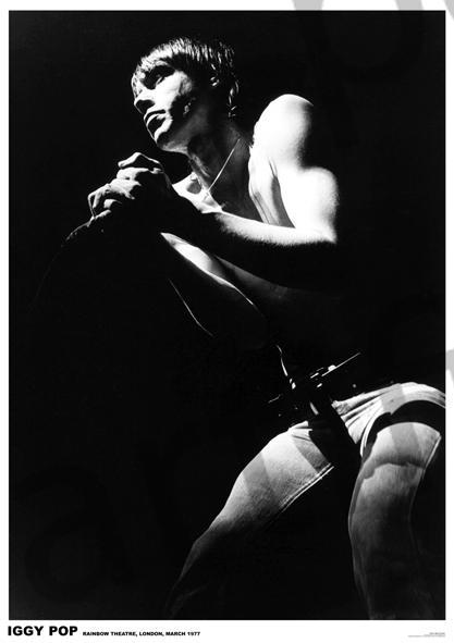 Iggy Pop Large - Regular Posters