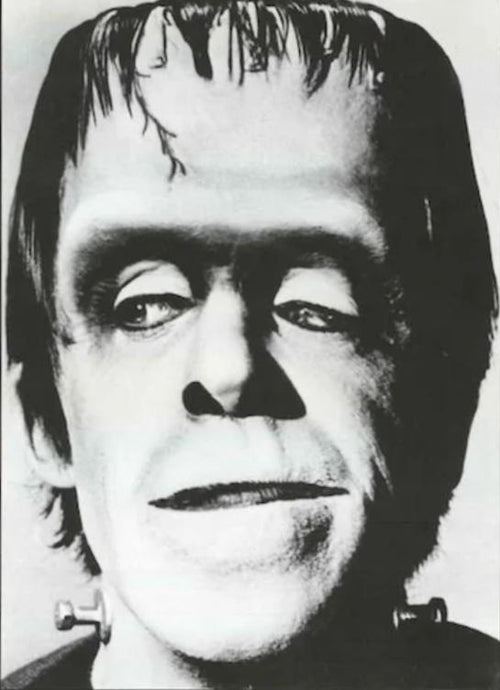 The Munsters - Herman Munster Large - Regular Posters