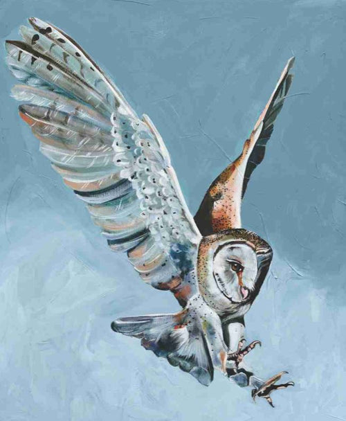 The painting "At last" by Heylie Morris from Blue Dog Posters features a barn owl in mid-flight against a blue background. The owl's wings are fully spread, and its talons are extended. Its feathers display a blend of white, gray, and brown hues, with its gaze focused downward. This stunning art print is beautifully captured on matte art paper.