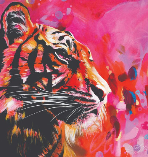 Confetti Jungle by Heylie Morris, offered by Blue Dog Posters, showcases a vibrant tiger painted with bold, colorful strokes in shades of red, pink, and orange. The background features abstract splashes of similar colors, crafting a dynamic and energetic scene. This premium quality art print captures the tiger gazing intently to the right.