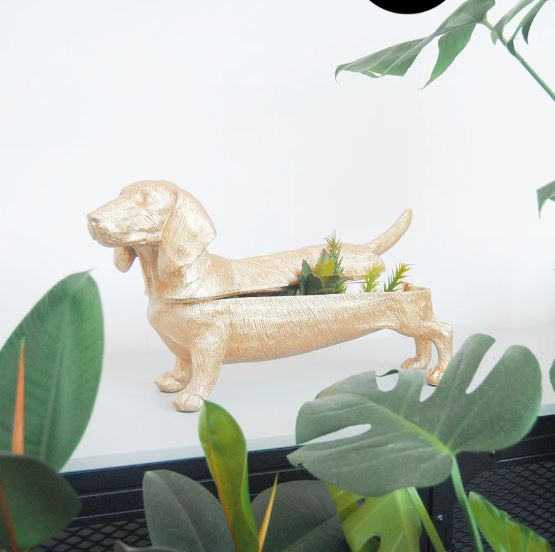 The Dachshund DOG Bowl gold by Blue Dog Posters features a charming dog-shaped design, making it an ideal home décor piece. Display it with leafy green plants or resin bowls for a stylish touch to your space.