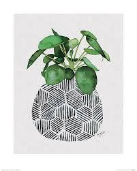 Chinese Money Plant by Summer Thornton Small - Decor Series