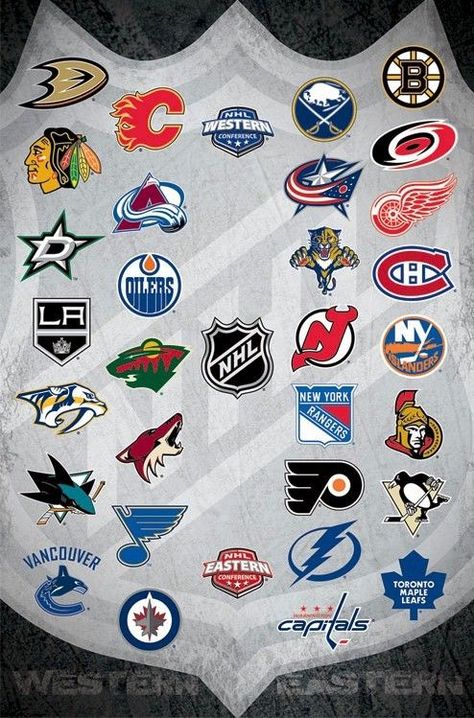 The SPO "NHL Logos" graphic, printed on premium gloss paper, features a shield-shaped design showcasing the logos of NHL teams against a grey backdrop. Teams highlighted include the Ducks, Flames, Kings, Oilers, Wild, Canucks, Sharks, Blackhawks, Avalanche, Stars, Predators, Blues, Jets, Bruins, Canadiens, Senators and Lightning among others. The high-quality printing ensures vibrant colors for an eye-catching display.