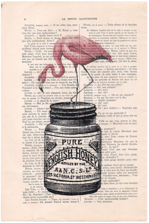 An illustration of a pink flamingo standing one-legged on the lid of a large honey jar labeled "Pure English Honey". The jar sits on a page from an antique French book titled "La Petite Illustration". The text on the page is faded and partially visible, creating a unique design. This piece is known as the "Antique Book Print 15 x 21cm Flamingo" by ABP.