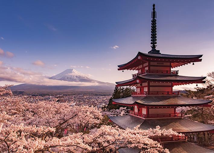 Mount Fuji - Blossom Huge - Giant Posters