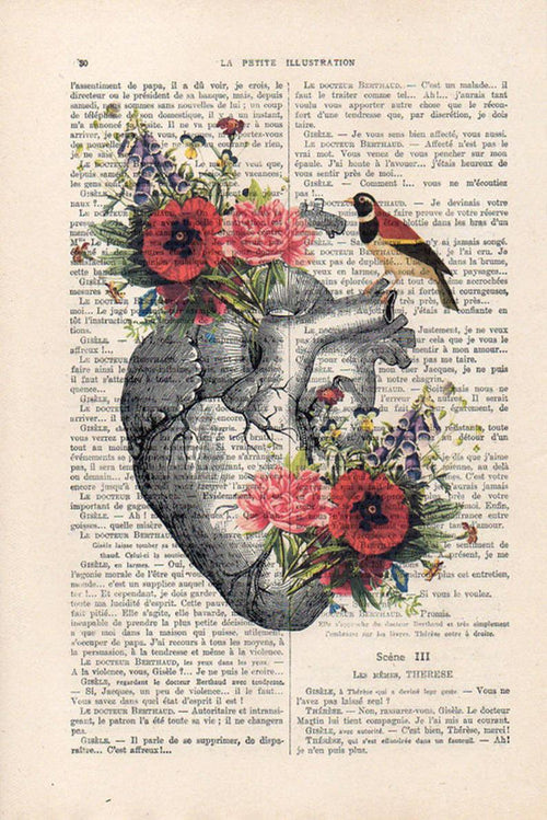A vintage book page from antique French books forms the background. A detailed anatomical drawing of a human heart, adorned with colorful flowers and a perched bird, is overlaid on the text. This unique print combines botanical elements with anatomical illustration, creating beautiful illustrated designs. This is ABP's Antique Book Print 15x21cm Flower Heart.