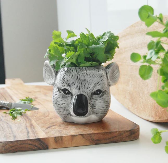 A Ceramic Planter - Koala by Blue Dog Posters, shaped like a koala's head, sits on a wooden cutting board. Fresh green herbs are sprouting from the planter, mimicking the koala's hair. A knife and some chopped herbs are also visible on the board.