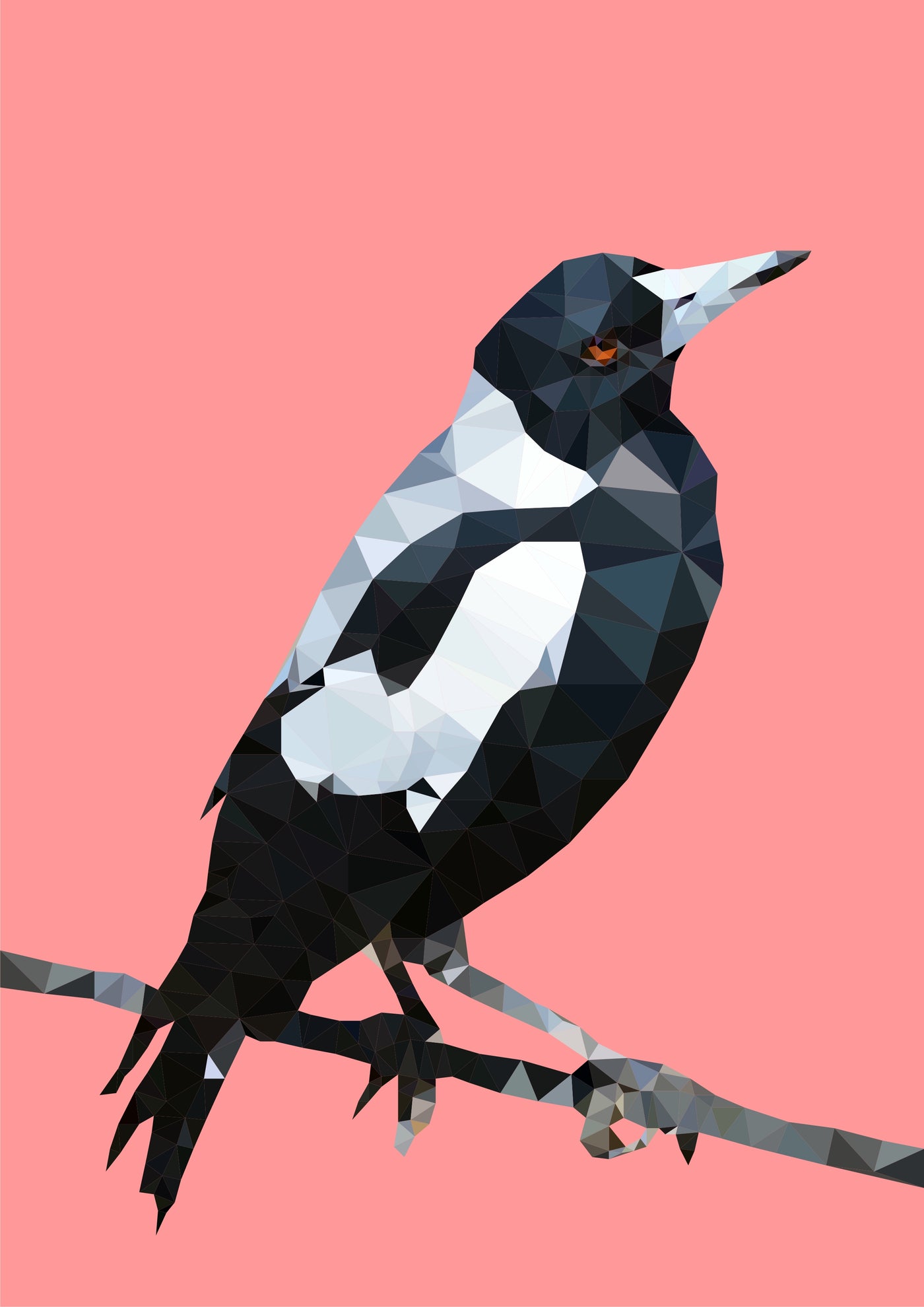 A low-poly style illustration of a black and white bird perched on a branch against a solid pink background. The bird is facing right, displaying intricate geometric patterns that form its feathers and body. Part of the Featured Artists Collection, this art print, "Magpie - Studio Cockatoo" by fap, is beautifully captured on 250gsm satin paper.