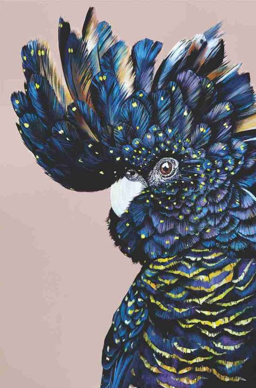 Pia by Heylie Morris, part of the MEZ 507 brand, features a vibrant painting from the Artist Series of a black cockatoo with striking dark blue and black feathers accented with specks of yellow. The bird's detailed plumage and expressive eye stand out against a soft, light pink background, making this art print truly premium quality.