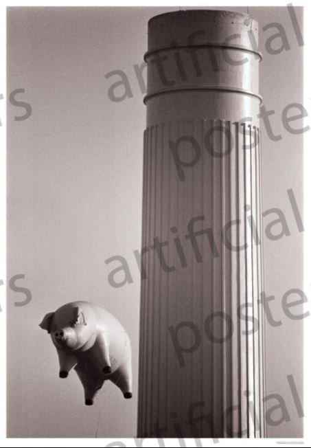 A large inflatable pig floats beside a tall, fluted cylindrical structure in the artistic black-and-white image entitled "Pink Floyd - Animals BW" from the MUS 350 brand. The pig and the structure are prominently featured, with watermarks of "artificial," "posters," and "artificial posters" overlaying the scene.