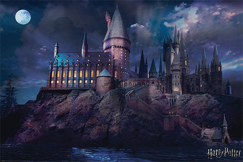 Harry Potter Hogwarts Large - Regular Posters