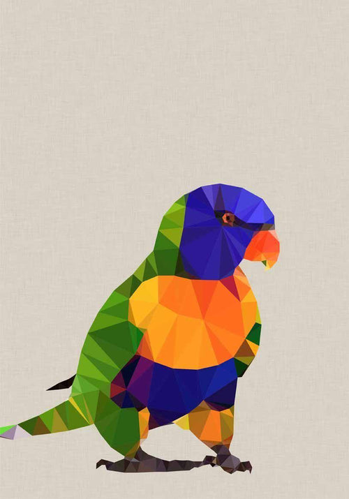 Rainbow Lorikeet - Studio Cockatoo Small - Featured Artists