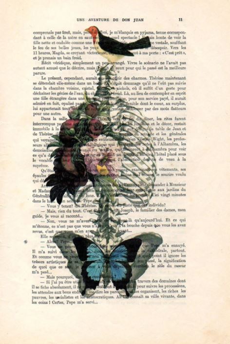 The "Antique Book print 15x21cm Rib Butterfly" by fap features an exquisite illustration of a ribcage, flowers, and a bird overlaid on a page from antique French books. At the bottom, a blue butterfly spreads its wings, adding a vibrant touch to this stunning vintage-style artwork.