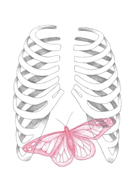 A drawing of a ribcage with a delicate butterfly at the bottom center. The ribcage is illustrated in grey pencil, while the butterfly, rendered in pink and appearing semi-transparent and ethereal, captures the essence of our "Ribs by Olivia A5 Print" from A5.