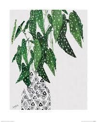 Polka Dot Plant by Summer Thornton Small - Decor Series