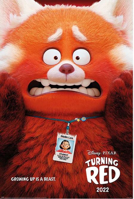 Poster for the movie "Turning Red" featuring a large, animated red panda with a panicked expression, clutching its face. It wears a lanyard with a name tag that reads "Meilin Lee." Text at the bottom reads "Growing up is a beast. Disney Pixar Turning Red 2022." Printed on premium 150gsm gloss paper by MTV 247. Product Name: Turning Red - Red Panda Mei.