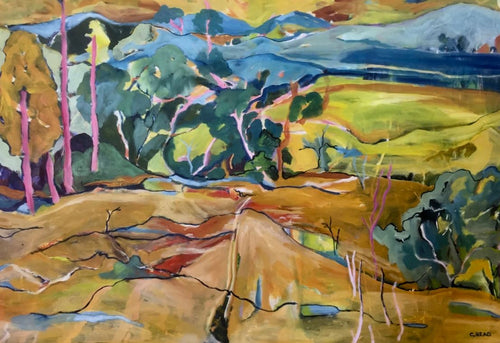 Valley View by Christine Read from MEZ 520 features a colorful abstract landscape with hills, trees, and fields. Vibrant greens, yellows, blues, and pinks depict a natural setting with a winding path and distant mountains. The expressive style showcases bold brush strokes and imaginative colors on matte art paper.