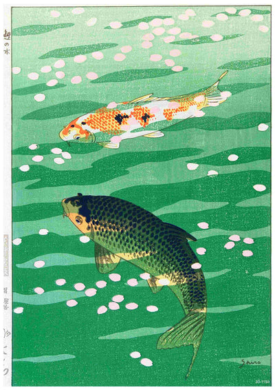 Two koi carp with orange and black markings swim among pink and white petals in lush green water, evoking a calm, traditional Japanese style. "Koi Carp by Shiro Kasamatsu" by A3 makes an elegant satin paper art poster.