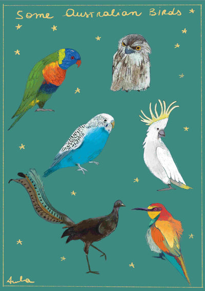 The Australian Birds by Annalisa Biancardi features illustrated birds, including a rainbow lorikeet, owl, blue budgerigar, white cockatoo, lyrebird, emu, and rainbow bee-eater on a green background adorned with small stars. Available from Blue Dog Posters.