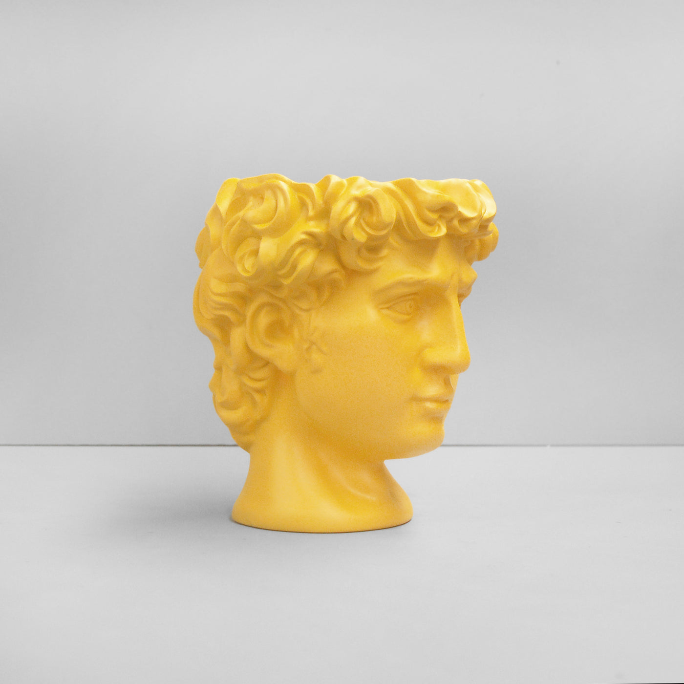 David Vase Plant Holder Yellow Blue Dog Posters david-vase-plant-holder-yellow-blue-dog-posters