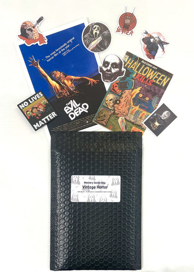 A black bubble mailer labeled "Mystery Goodie Bag - Vintage Horror" by Blue Dog Posters is shown with horror-themed stickers, postcards, prints of Evil Dead and Halloween, a skull motif, and a vintage horror movie enamel pin on a white background.