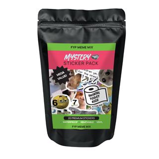 FYP Meme Mix- Mystery Sticker Pack (20 Stickers)
