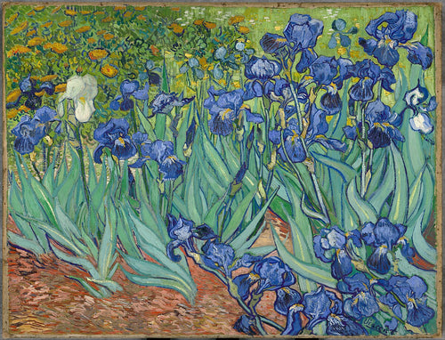Irises - Vincent Van Gogh by GAL64: An expressive oil painting of blue and violet irises with green leaves, set in a vibrant garden with yellow flowers and lush greenery, inspired by van Gogh’s iconic style.