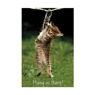 Hang In There - Cat