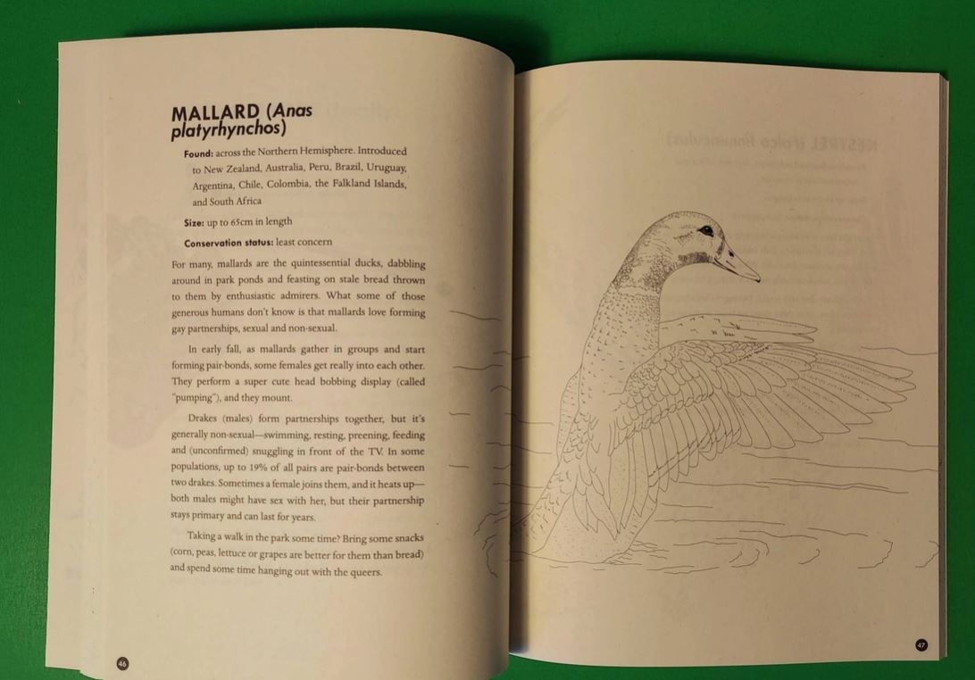 An open book from Blue Dog Posters' Queer Animals & Plants Colouring Book rests on a green surface, displaying a mallard page with habitat, description, and diet text plus a black-and-white illustration of a swimming duck.