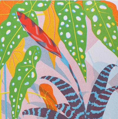 The Bromliad A4 Riso Print by Printer Johnson, available from Blue Dog Posters, showcases a vibrant jungle scene with large green leaves accented by white spots, red and orange foliage, and blue-striped leaves.