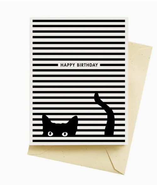 Cat Black and White Stripes Birthday Card