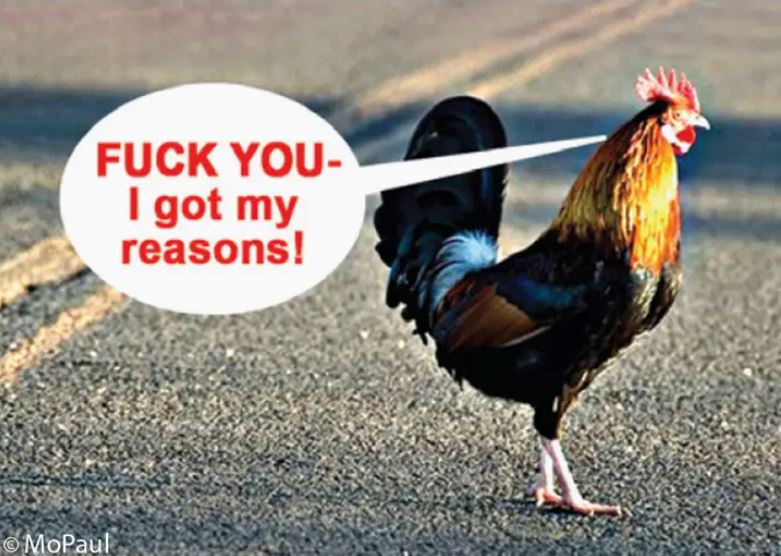 The Chicken Crossing Road Magnet by Blue Dog Posters features a rooster on a road, saying, "FUCK YOU—I got my reasons!" A humorous addition to any fridge magnet collection. Includes the © MoPaul watermark in the corner.