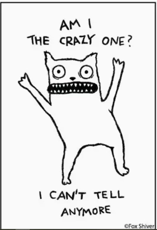 The Am I the Crazy One Magnet by Blue Dog Posters features a wide-eyed, open-mouthed cat on two legs with raised arms, captioned with “Am I the crazy one?” above and “I can’t tell anymore.” Perfect for adding sarcasm to your fridge or locker.