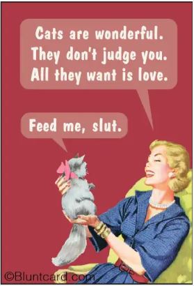 The Cats are Wonderful Magnet by Blue Dog Posters features a retro-style image of a smiling woman with her fluffy cat. Fun speech bubbles add humor—making it a quirky and eye-catching fridge magnet for cat lovers!.