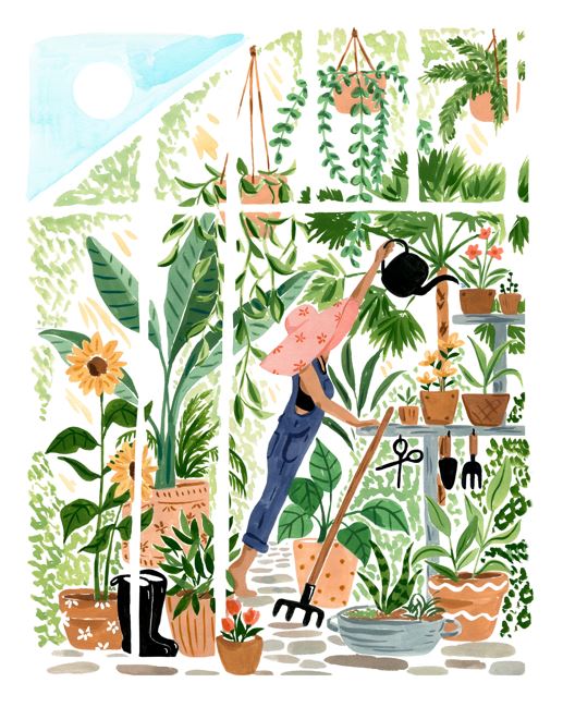 The Greenhouse by Sabina Fenn