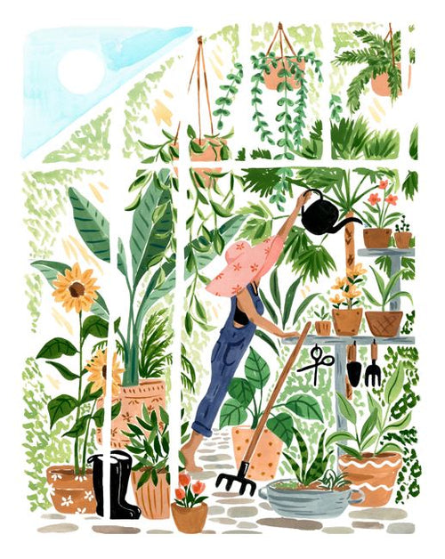 The Greenhouse by Sabina Fenn