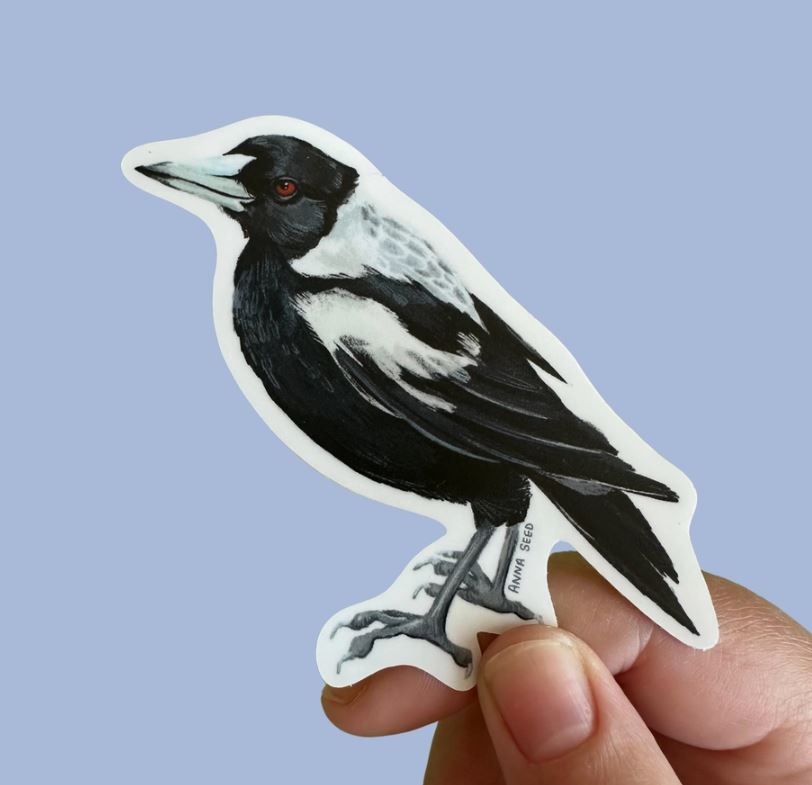 Magpie Sticker