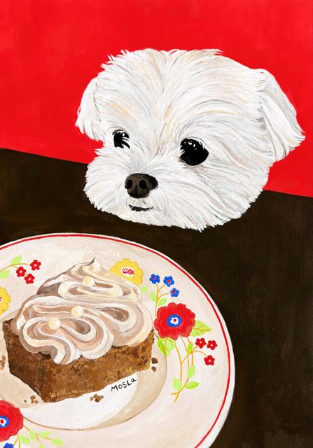 Maltese and Dessert by Mosla