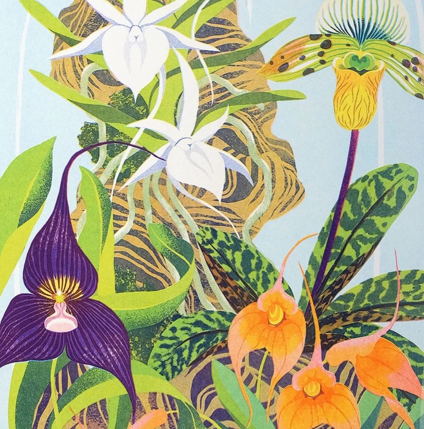 Orchid Still Life Riso Print by Printer Johnson